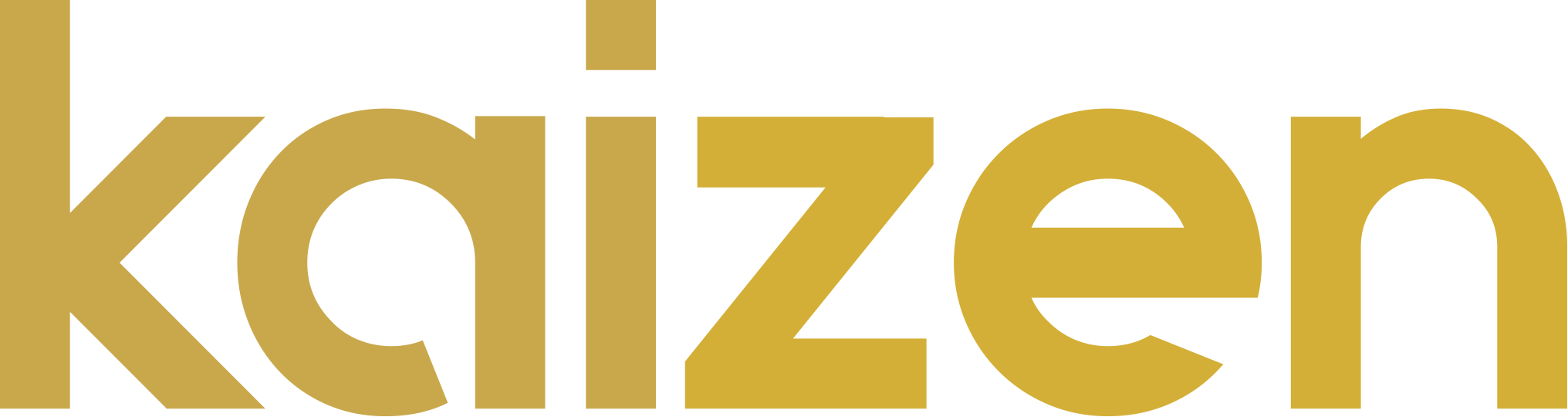 Kaizen Vision